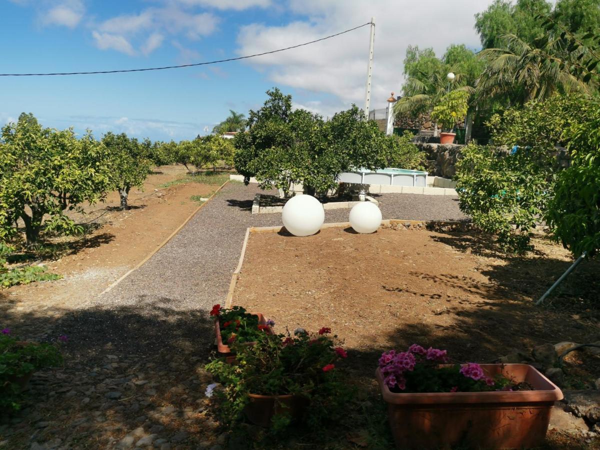 Casa Rural Dolores En Adeje Costa Adeje Dış mekan fotoğraf