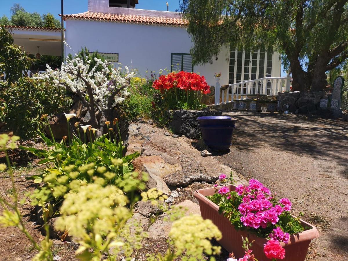 Casa Rural Dolores En Adeje Costa Adeje Dış mekan fotoğraf
