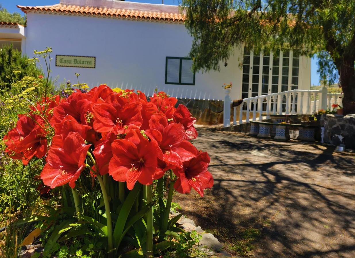 Casa Rural Dolores En Adeje Costa Adeje Dış mekan fotoğraf
