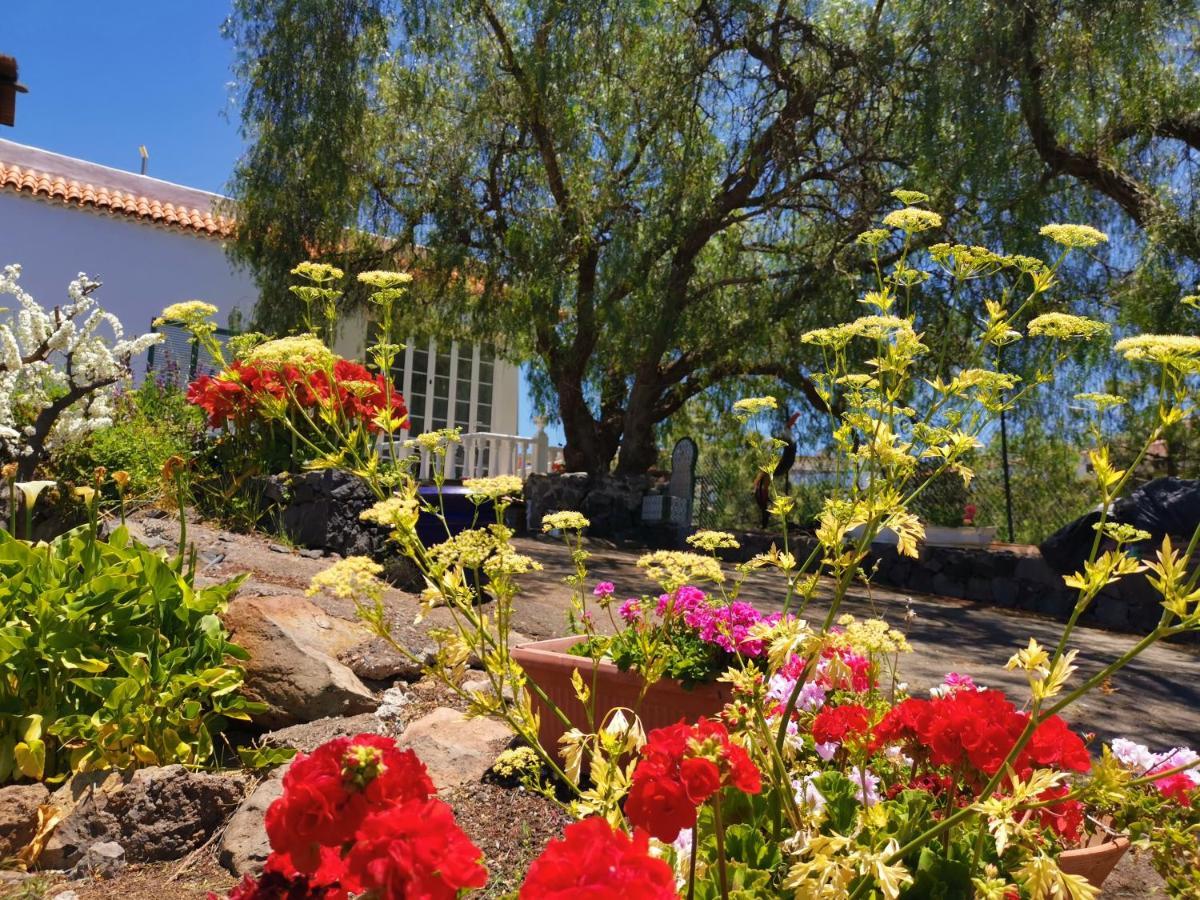Casa Rural Dolores En Adeje Costa Adeje Dış mekan fotoğraf
