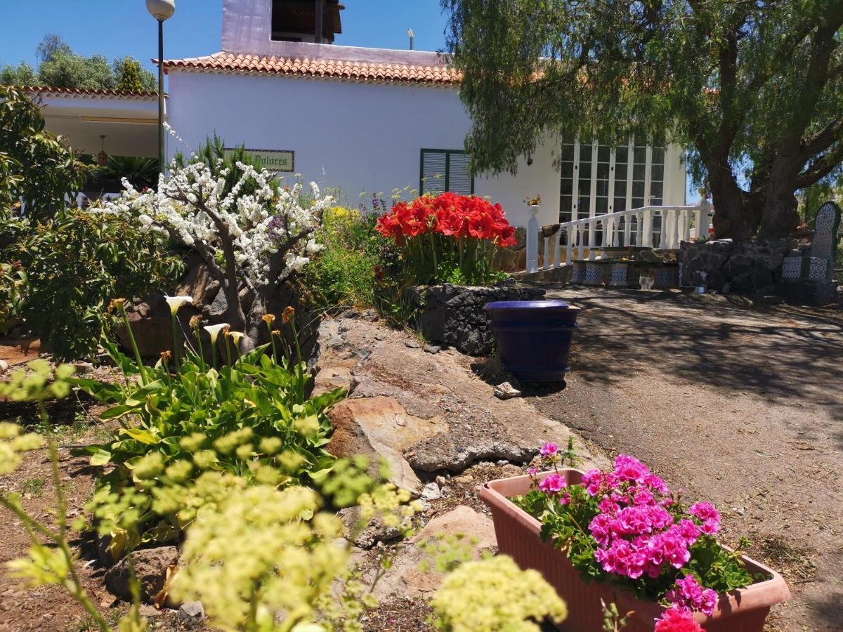 Casa Rural Dolores En Adeje Costa Adeje Dış mekan fotoğraf