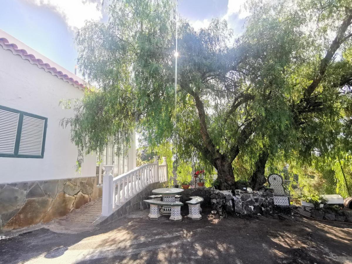 Casa Rural Dolores En Adeje Costa Adeje Dış mekan fotoğraf
